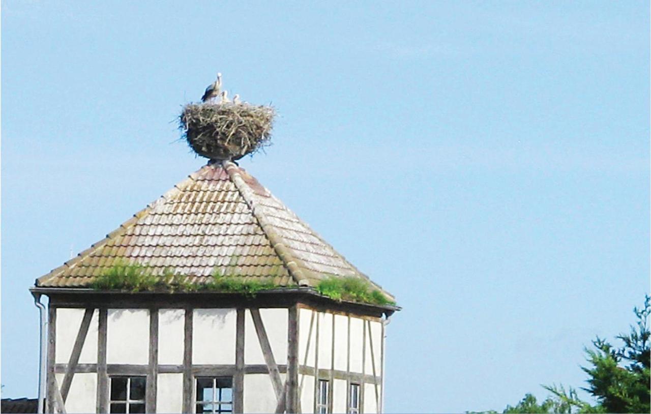 Herrenhaus Luebbenow Eksteriør billede